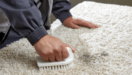 Professional Rug Cleaning Sunshine